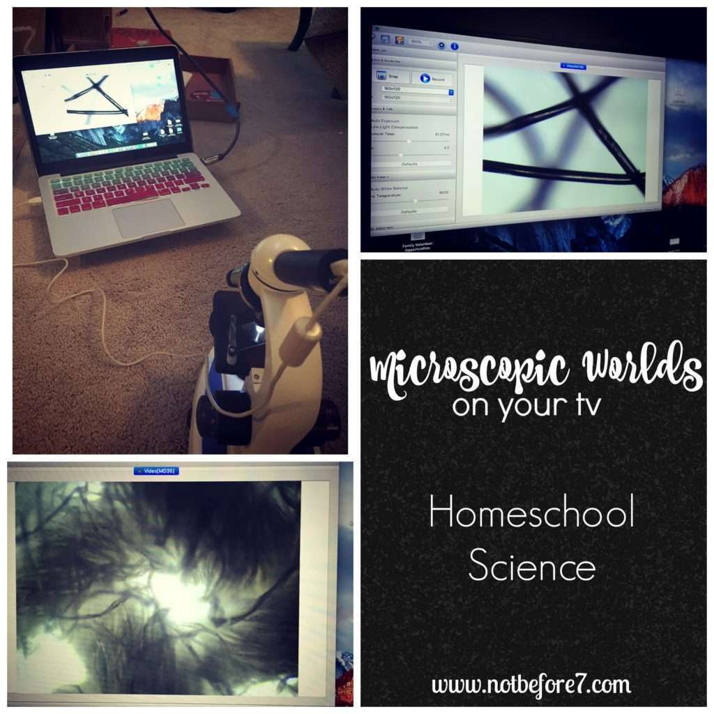 Microscope science for elementary school