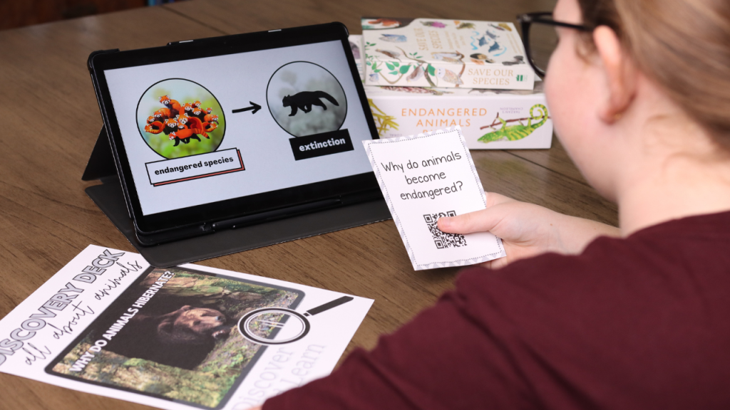 Discovery Decks are the perfect tool for homeschooling an only child